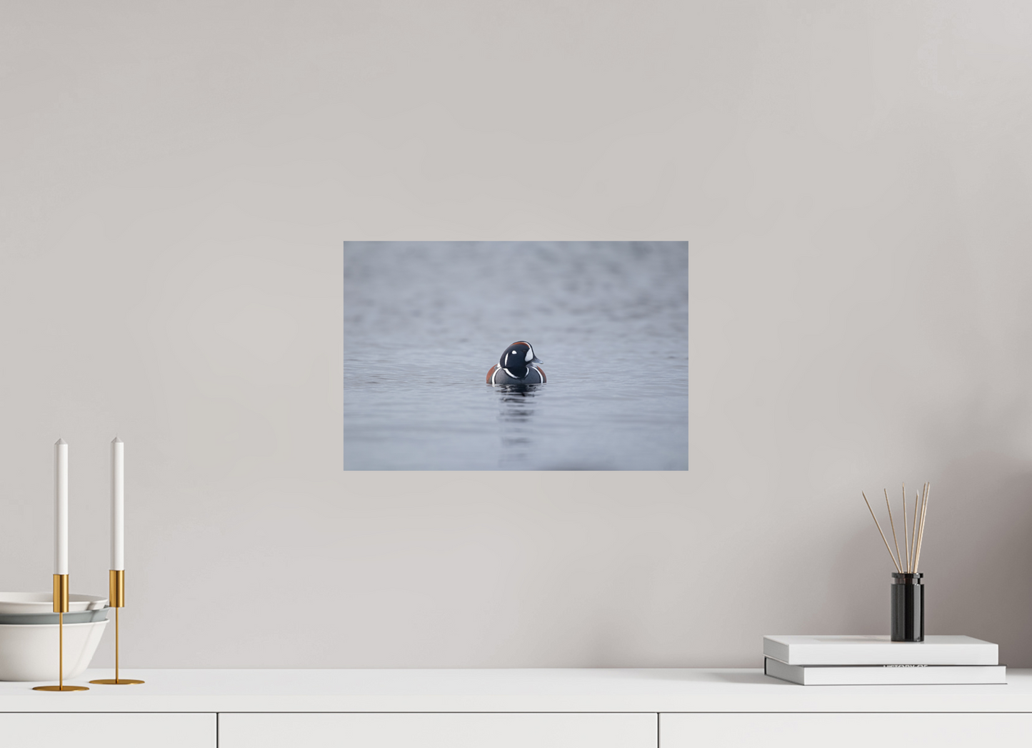 Harlequin Duck Print
