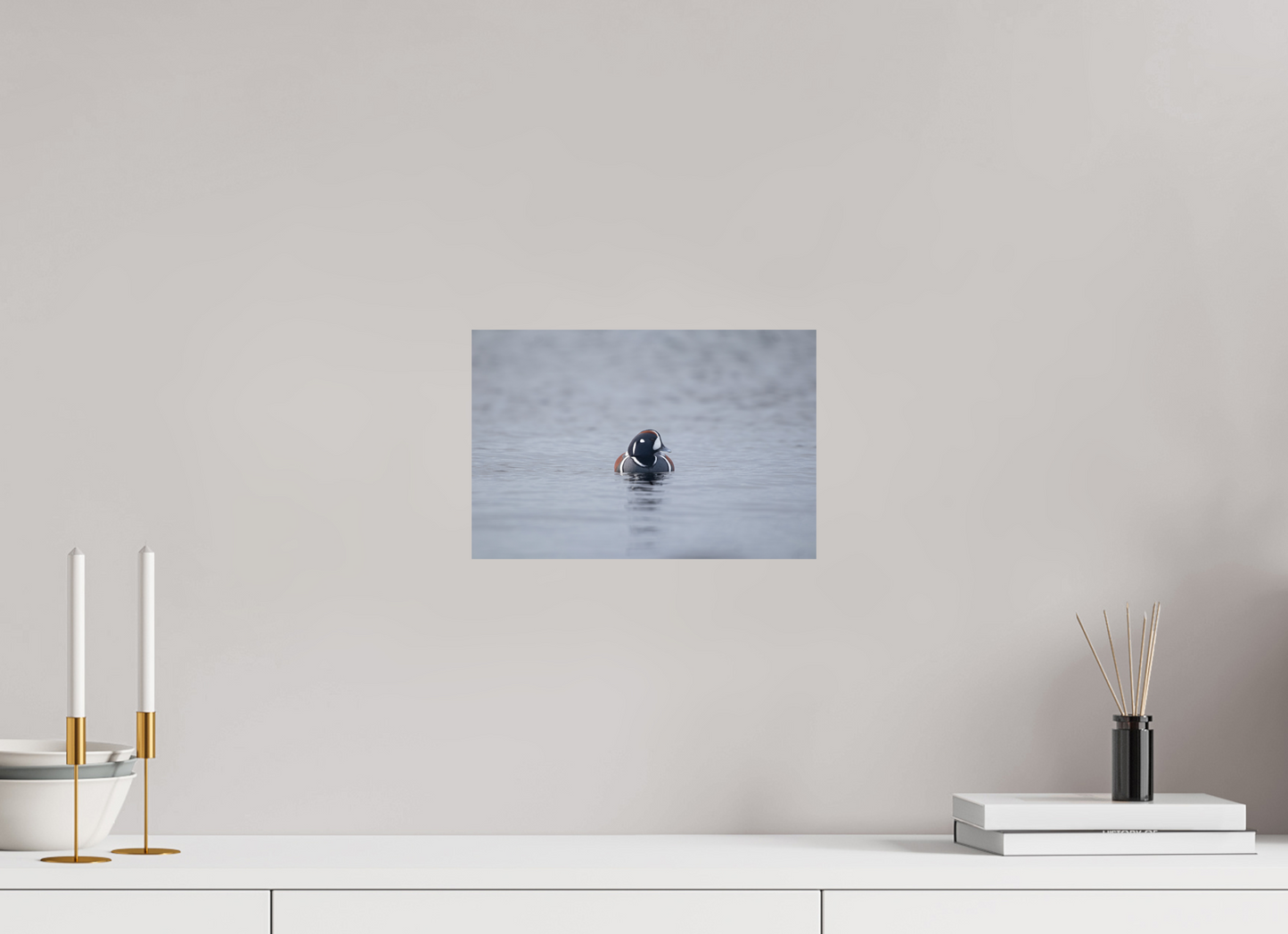 Harlequin Duck Print