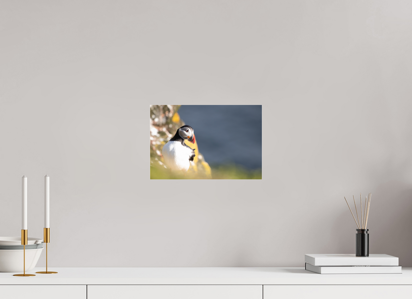 Atlantic Puffin on Acrylic Glass