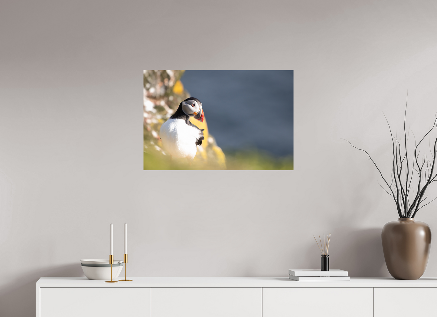 Atlantic Puffin Print