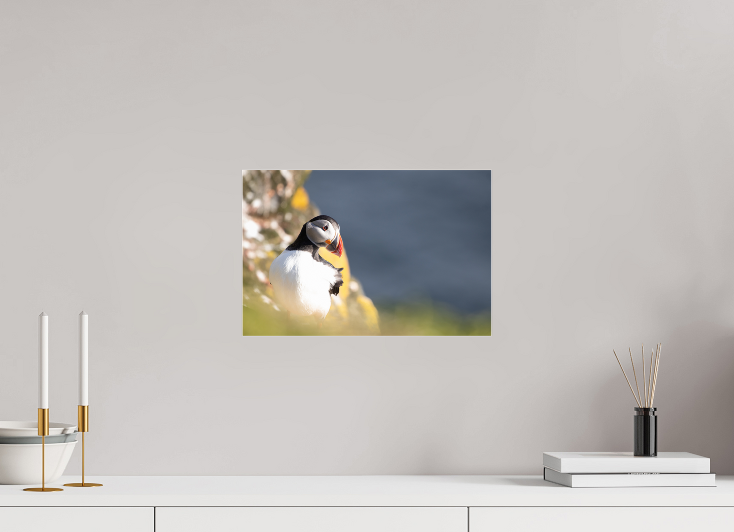 Atlantic Puffin on Acrylic Glass