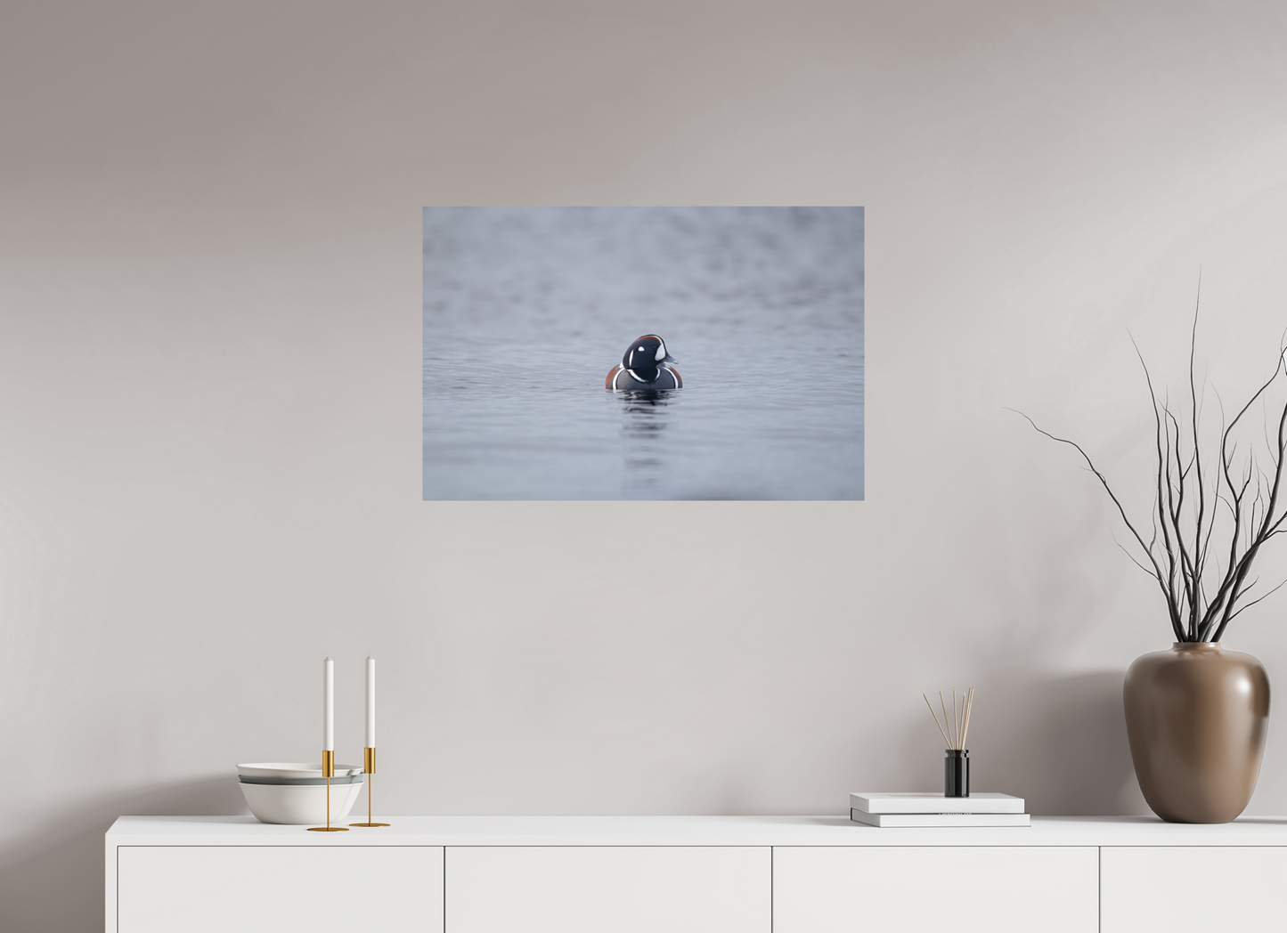 Harlequin Duck Print