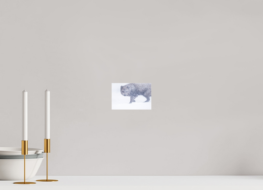 Arctic Fox in Snowstorm on Acrylic Glass